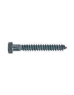 1/2" Lag Screw