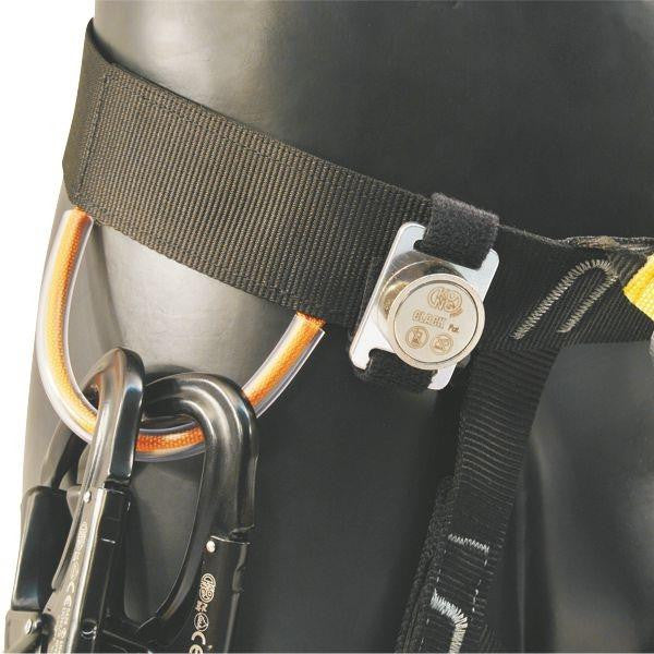 Kong Zip Evo