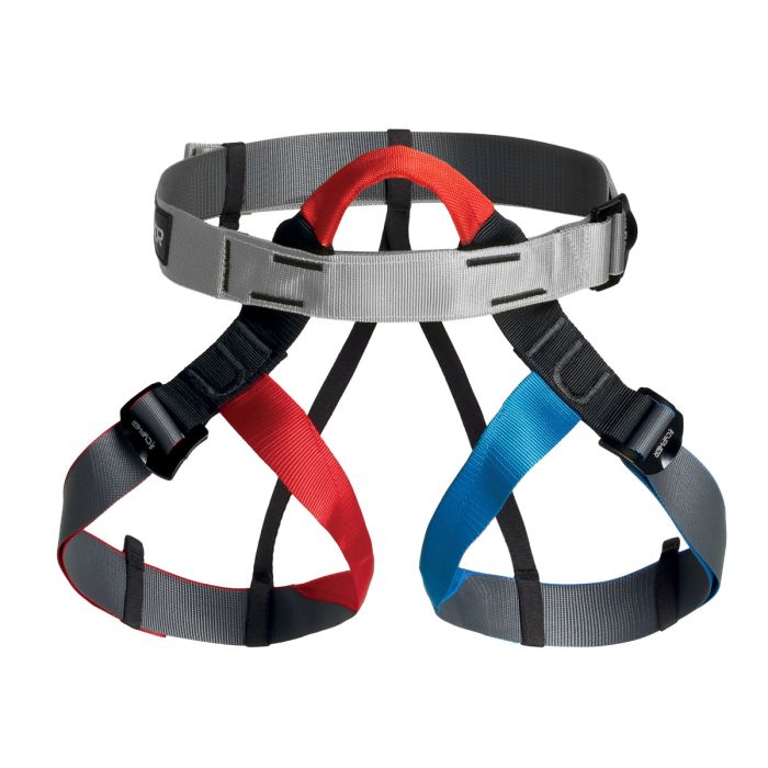 Cypher Course Harness